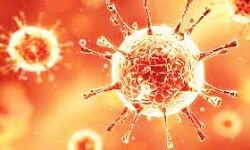 कोविड-19 से जुड़े शोध को बढ़ावा देने के लिए नई साझेदारी