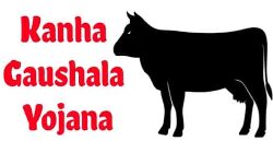 कान्हा गौशाला एवं पशु शेल्टर होम्स के निर्माण कार्य के लिए धनराशि अवमुक्त कान्हा गौशाला एवं पशु शेल्टर होम्स के निर्माण कार्य के लिए धनराशि अवमुक्त